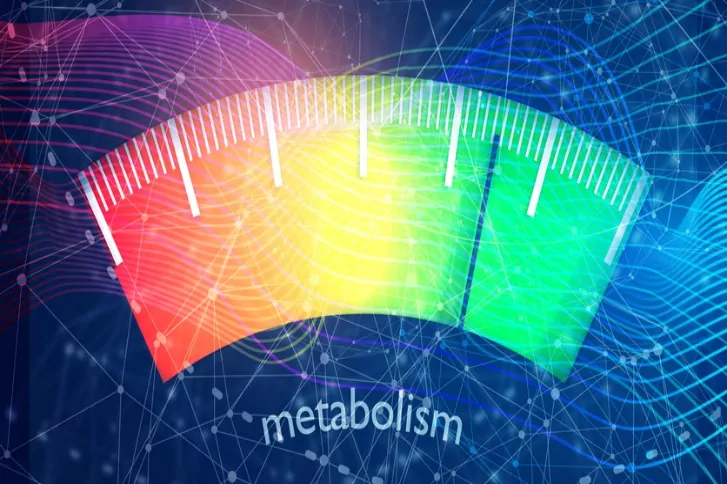 poziom metabolizmu